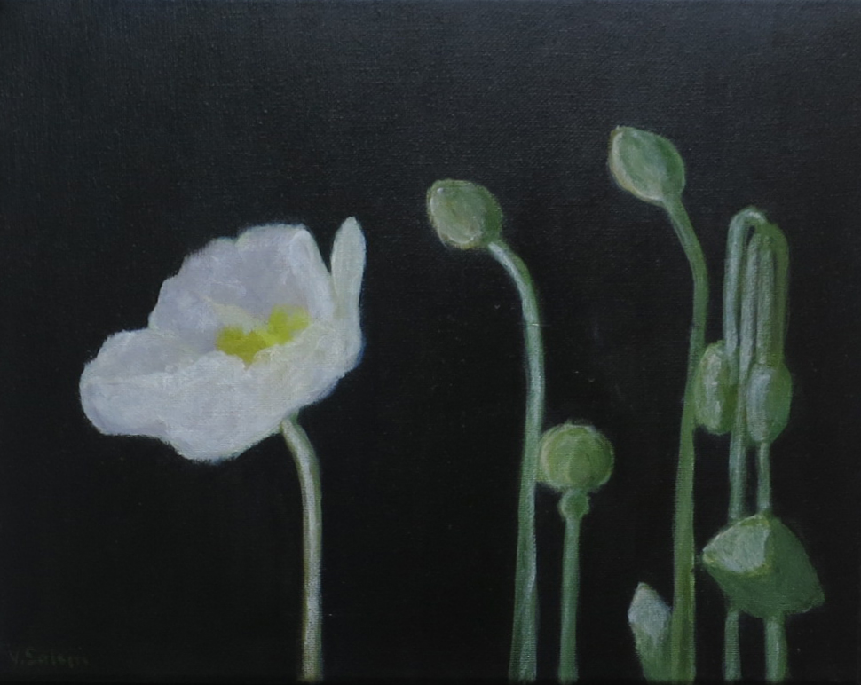 Poppy